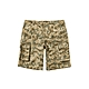 The North Face M AOP CARGO SHORT - AP 男 短褲-迷彩-NF0A81MGIAQ product thumbnail 1