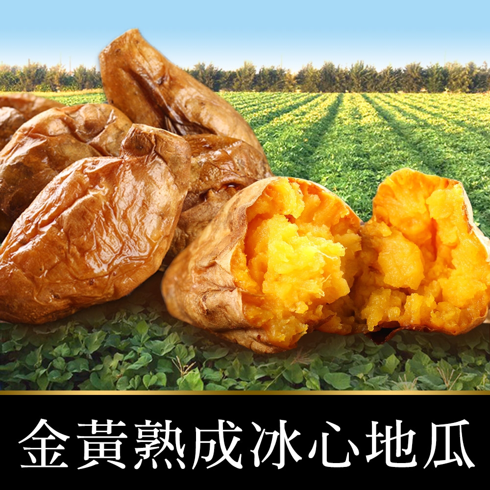 【享吃美味】金黃熟成冰心地瓜10包(250g±10%/包)
