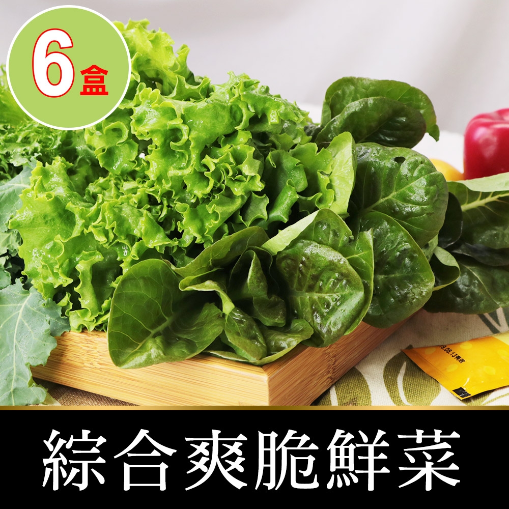 【享吃鮮果】新鮮爽脆鮮菜6盒(150g±5%/包)