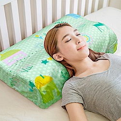 米夢家居-原創夢想家園系列-成人專用-馬來西亞進口純天然乳膠工學枕(青春綠)二入