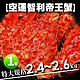 築地一番鮮-特特大巨無霸智利帝王蟹1隻(2.4~2.6kg/隻)★ product thumbnail 1