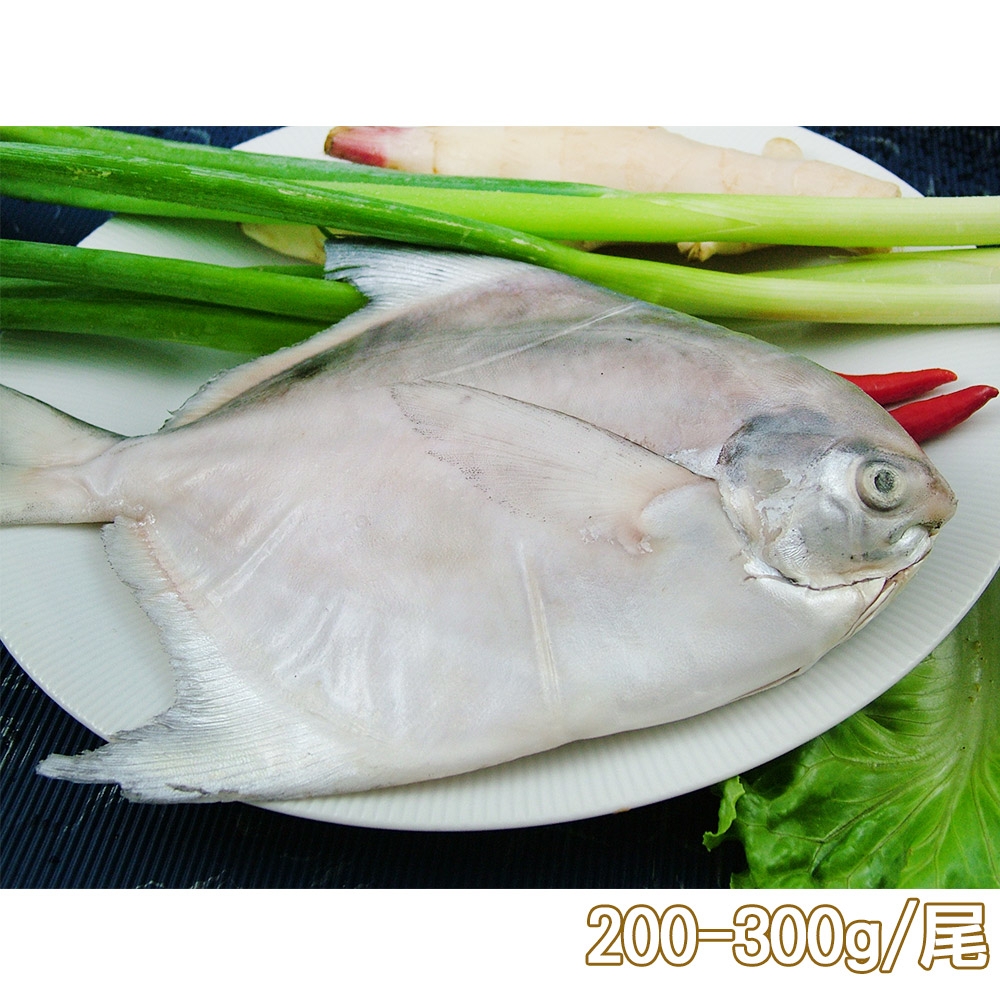 新鮮市集 鮮嫩富貴白鯧魚(200-300g/尾)