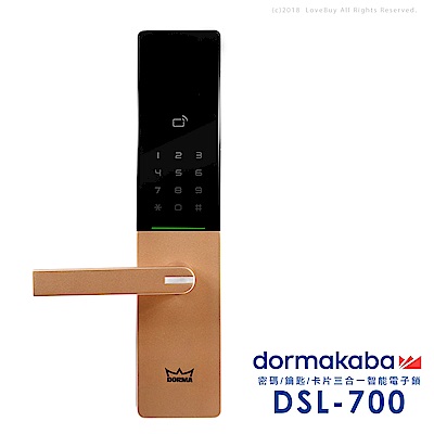 dormakaba 密碼/卡片/鑰匙智能電子門鎖DSL-700-香檳金(附基本安裝)