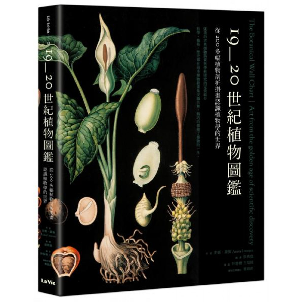 19~20世紀植物圖鑑 | 拾書所