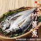 【海陸管家】台灣竹筴魚一夜干(每片約140g) x5片 product thumbnail 1