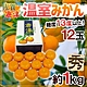 【天天果園】日本佐賀唐津蜜柑原裝1kg禮盒(約12-15入) product thumbnail 2