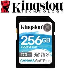 Kingston 金士頓 256GB SDXC UHS-I U3 V30 記憶卡 SDG3/256GB