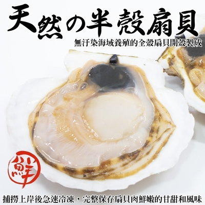 【鮮海漁村】人氣熱賣生鮮半殼扇貝3包(每包約500g)