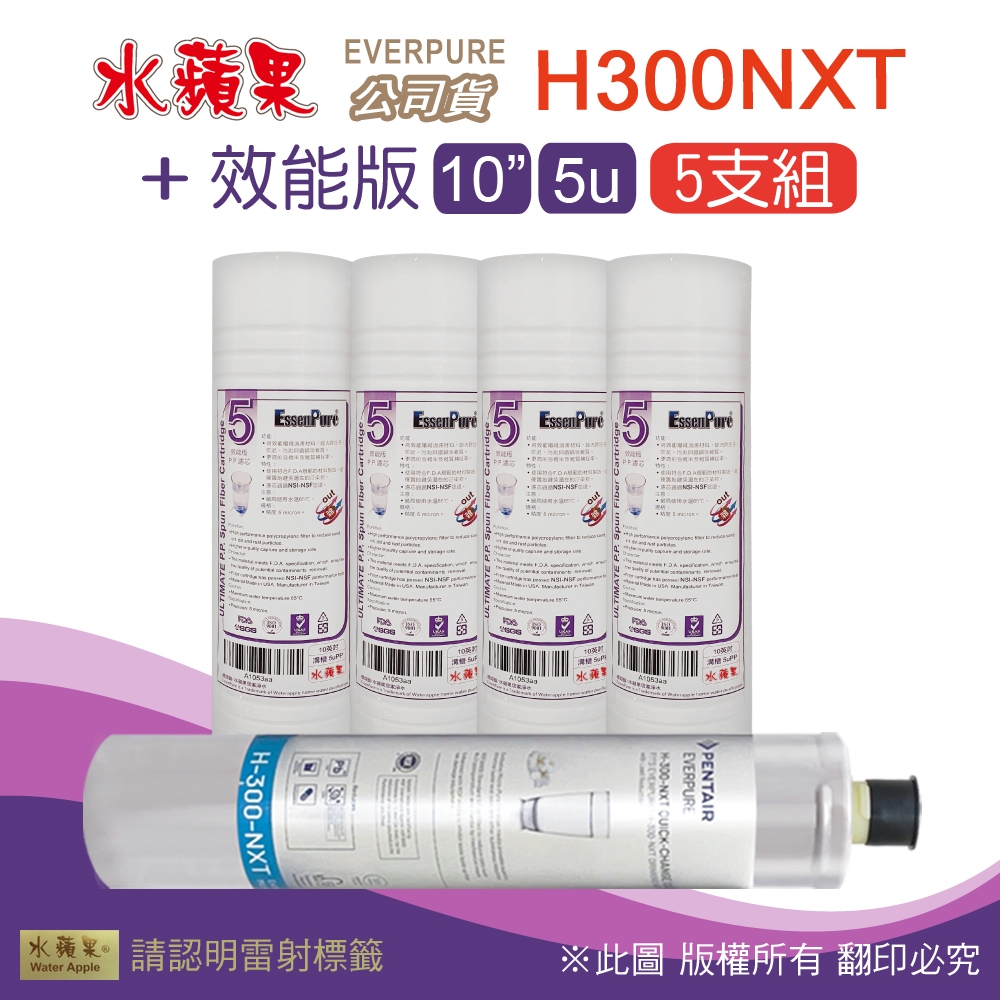 【水蘋果】Everpure H300NXT 公司貨濾心+WAP-110高濾效10吋溝槽5uPP濾心(5支組)