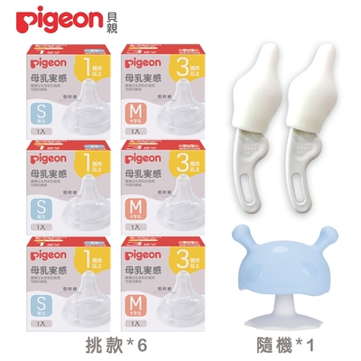 (pigeon 貝親)第三代寬口母乳實感奶嘴x6+奶嘴刷2入+啾比小蘑菇固齒器隨機x1