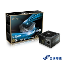 全漢 Hydro GSM PRO 650W 80PLUS金牌 電源供應器(HGS-650M)