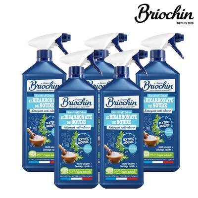 Jacques Briochin 藍牌碧歐馨 小蘇打萬用泡沫去味清潔劑 750ml 超值5件組