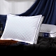 (買一送一) Hilton 希爾頓 VIP貴賓 純棉立體銀離子抑菌獨立筒枕 product thumbnail 4
