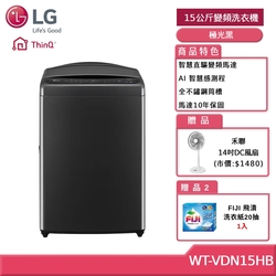 LG樂金 15公斤 AI DD 蒸氣直驅變頻洗衣機(極光黑)WT-V