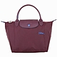 [法國精品包限定] LONGCHAMP Le Pliage 奔馬刺繡小型水餃包-多色可選 product thumbnail 10