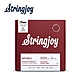 Stringjoy NB1050 木吉他套弦 product thumbnail 1