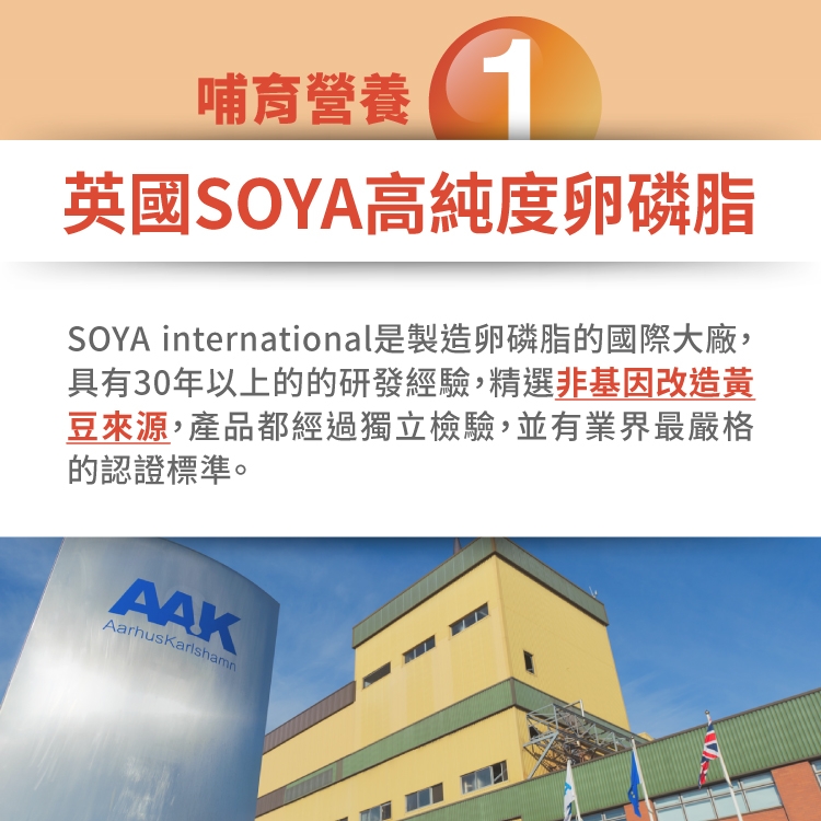 哺育營養英國SOYA高純度卵磷脂SOYA international製造卵磷脂的國際大廠,具有30年以上的的研發經驗,精選非基因改造黃豆來源,產品都經過獨立檢驗,並有業界最嚴格的認證標準。AAKAarhusKarlshamn