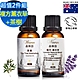 【 Warm 】複方薰衣草精油100ml+茶樹精油100ml超值二件組 森林浴系列 product thumbnail 1