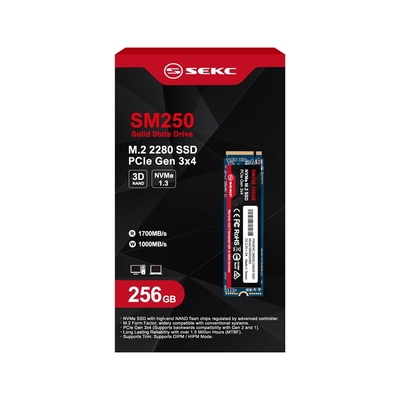 SEKC SM250 256GB NVMe M.2 2280 PCIe 固態硬碟