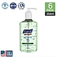 【Purell】美國普瑞來 蘆薈乾洗手凝露 354ml 6入 product thumbnail 1