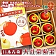 切果季-日本青森大紅榮蘋果28粒頭-6入禮盒(約2.3kg) product thumbnail 1