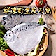 【愛上新鮮】鮮凍野生皮刀魚12隻組(2隻裝/180-200g±10%/隻) product thumbnail 1