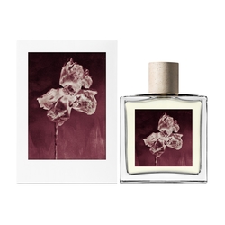 AllSaints Flora Mortis 永夜之光中性淡香精100ML