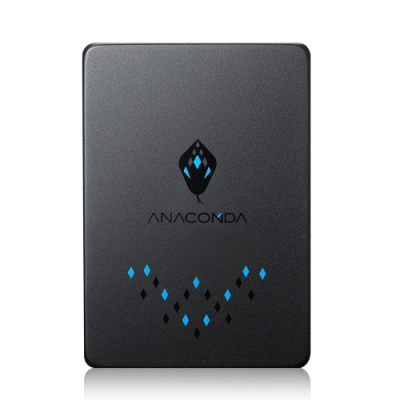 ANACOMDA巨蟒 入門款 T1 120GB