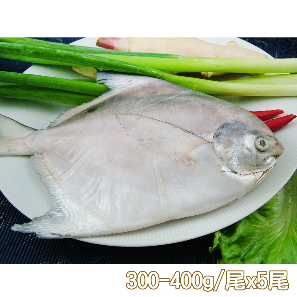 新鮮市集 鮮嫩富貴白鯧魚5尾(300-400g/尾)