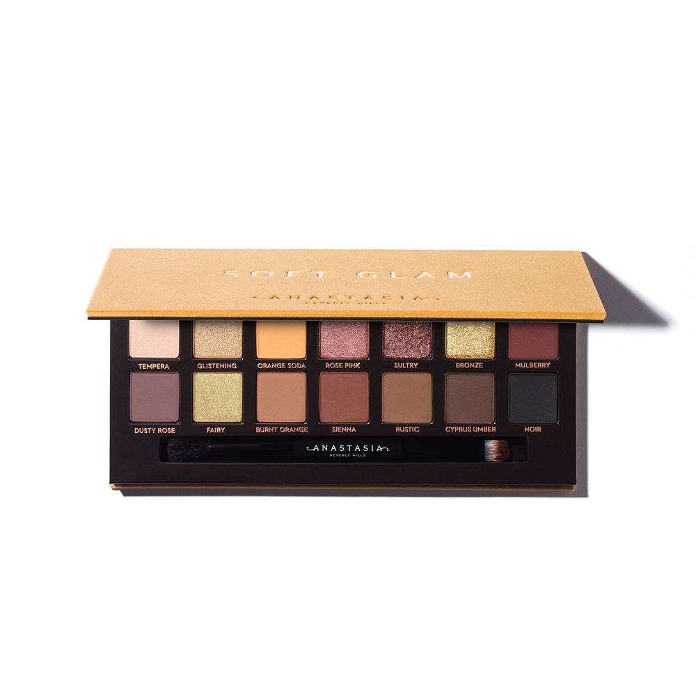 ANASTASIA BEVERLY HILLS 大地色14色眼影盤0.74gx14