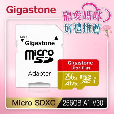 Gigastone microSDXC UHS-I U3 A1 V30 256G記憶卡(附轉卡)