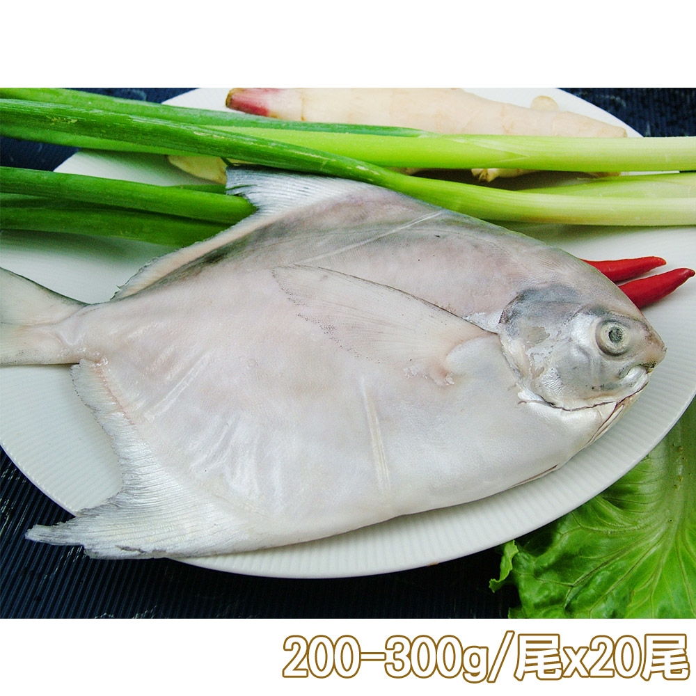 新鮮市集 鮮嫩富貴白鯧魚20尾(200-300g/尾)