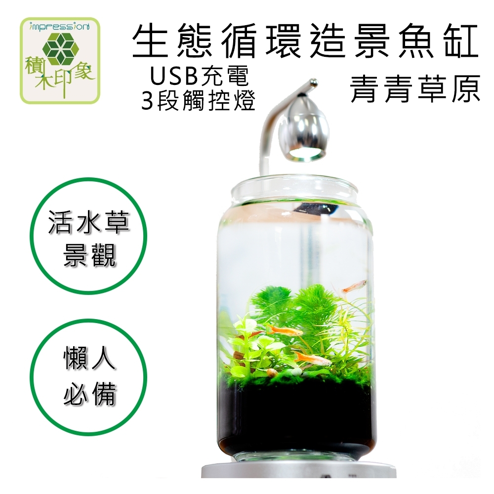 積木印象 活水草生態紓壓懶人魚缸 生態瓶造景系列 (青青草原 USB充電式三段觸控燈款)