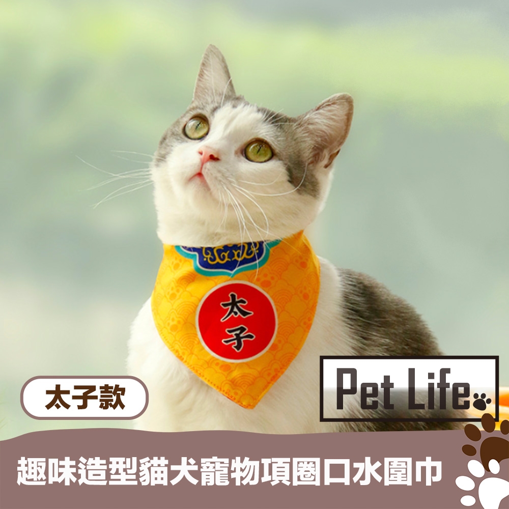 Pet Life 趣味造型貓犬寵物項圈口水圍巾 太子款