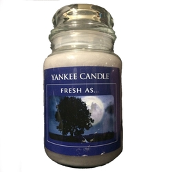 YANKEE CANDLE 香氛蠟燭 FRESH AS 1711