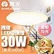 舞光 LED 2-3坪 30W雅緻吸頂燈(白光/黃光) product thumbnail 7