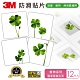 3M 防滑貼片-植物(12片入)-圖案隨機出貨 product thumbnail 1