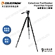 CELESTRON TRAILSEEKER FLUIDPAN 油壓雲台三腳架 - 上宸光學台灣總代理 product thumbnail 1