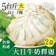 家購網嚴選 台東特級大目牛奶釋迦 (大) 5斤x2盒 (4-5顆/盒) product thumbnail 1