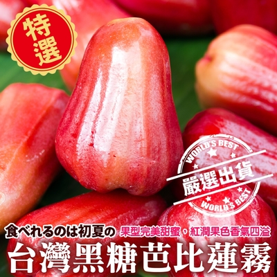 【果農直配】嘉義黑糖芭比蓮霧中果3斤(約11-13粒)