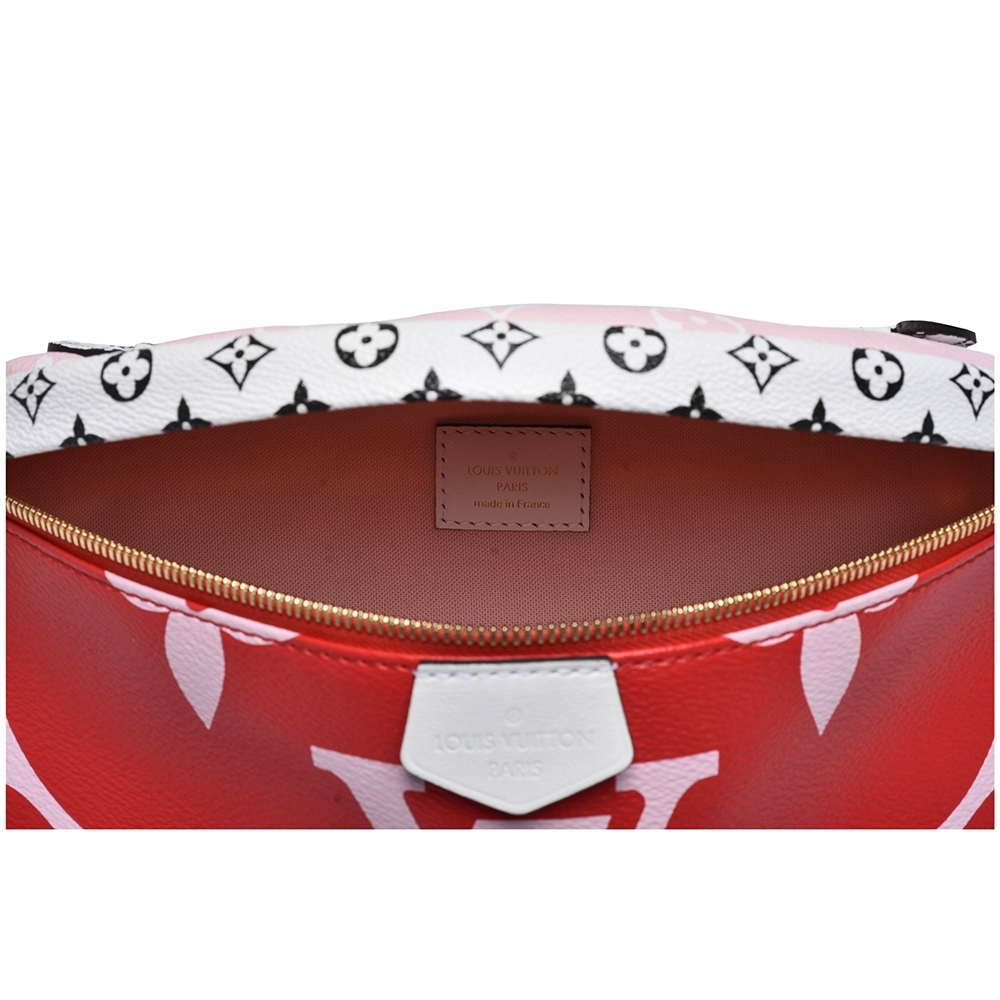 Louis Vuitton Gigante Monogram Bumbag M44575 Rouge : : Ropa,  Zapatos y Accesorios