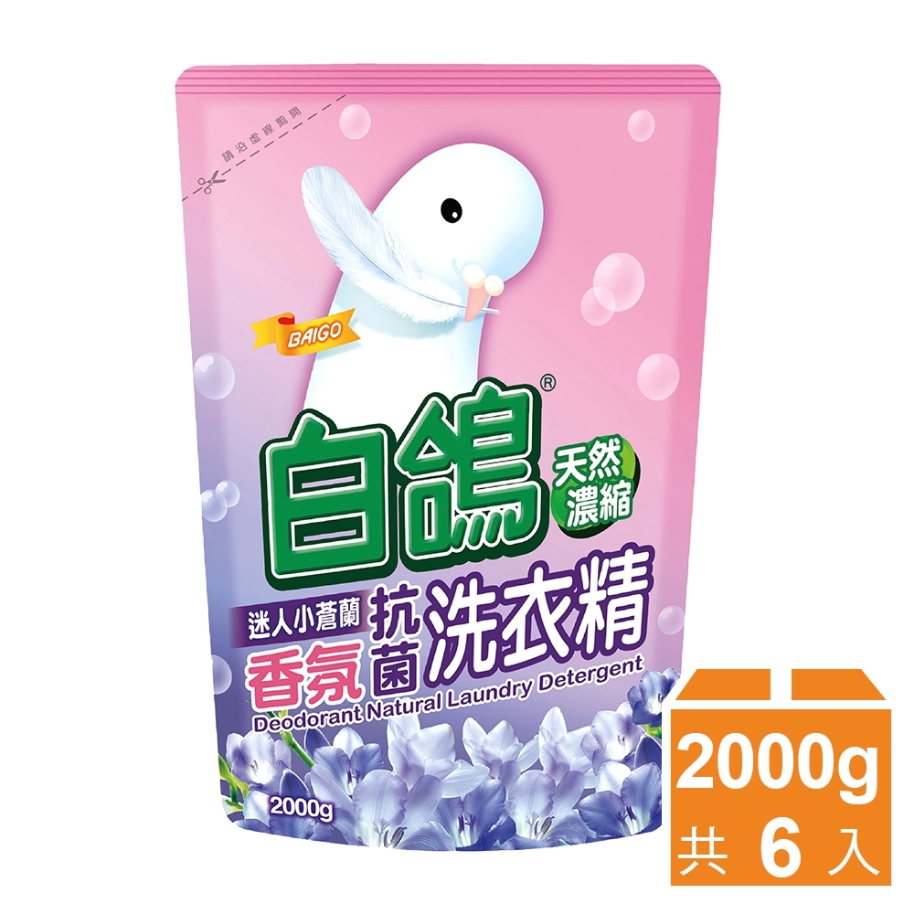 白鴿 天然濃縮抗菌洗衣精 迷人小蒼蘭香氛-補充包2000gx6包