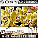 SONY索尼 75吋 4K HDR 智慧連網液晶電視 KD-75X8000G product thumbnail 2