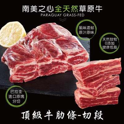 豪鮮牛肉 草原之心天然牛肋條切段2包(500g/包) -滿額