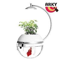 ARKY 香草與魚 [鬥] Herb&Fi