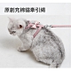 寵愛有家-新款充棉舒適蝴蝶結造型貓咪牽引繩(顏色隨機)(寵物胸背帶) product thumbnail 1