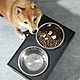 凡太奇 寵物可調節大碗架 附2個不銹鋼碗 寵物碗 飼料碗 product thumbnail 1