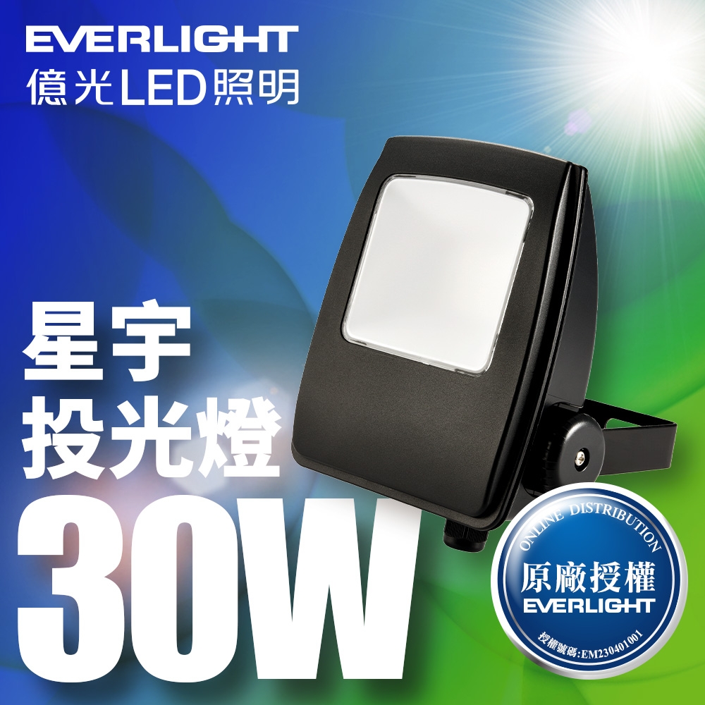 【億光EVERLIGHT】LED 星宇 30W 全電壓 IP65 投光燈(白光/黃光)