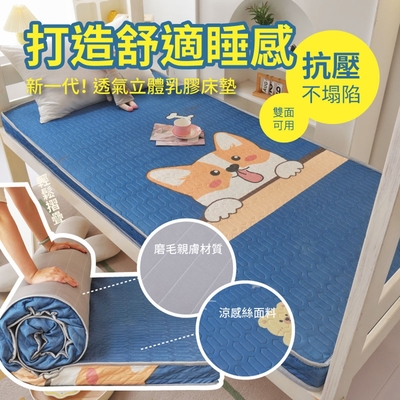 【DaoDi】床墊冰絲乳膠床墊尺寸雙人軟墊150x200cm(宿舍床墊 雙人床墊 折疊床墊 涼墊)