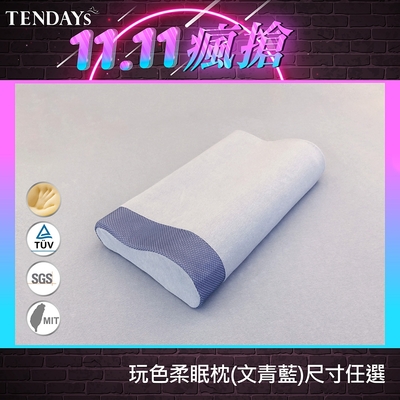 ENDAYS 玩色柔眠記憶枕買一送一